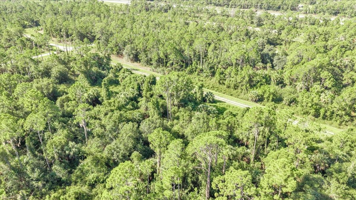 Lot 5 Bignay Rd Property Photo 14