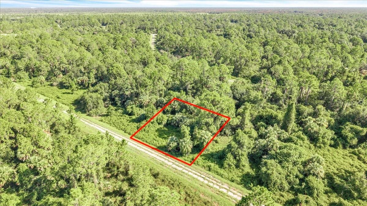 Lot 5 Bignay Rd Property Photo 17