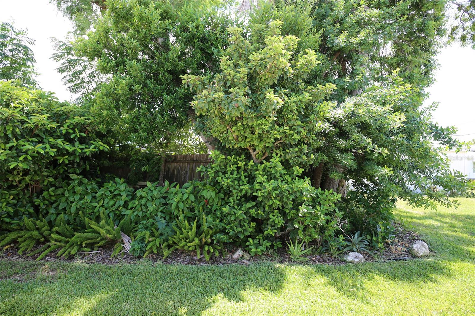 6105 Coral Way Property Photo 6