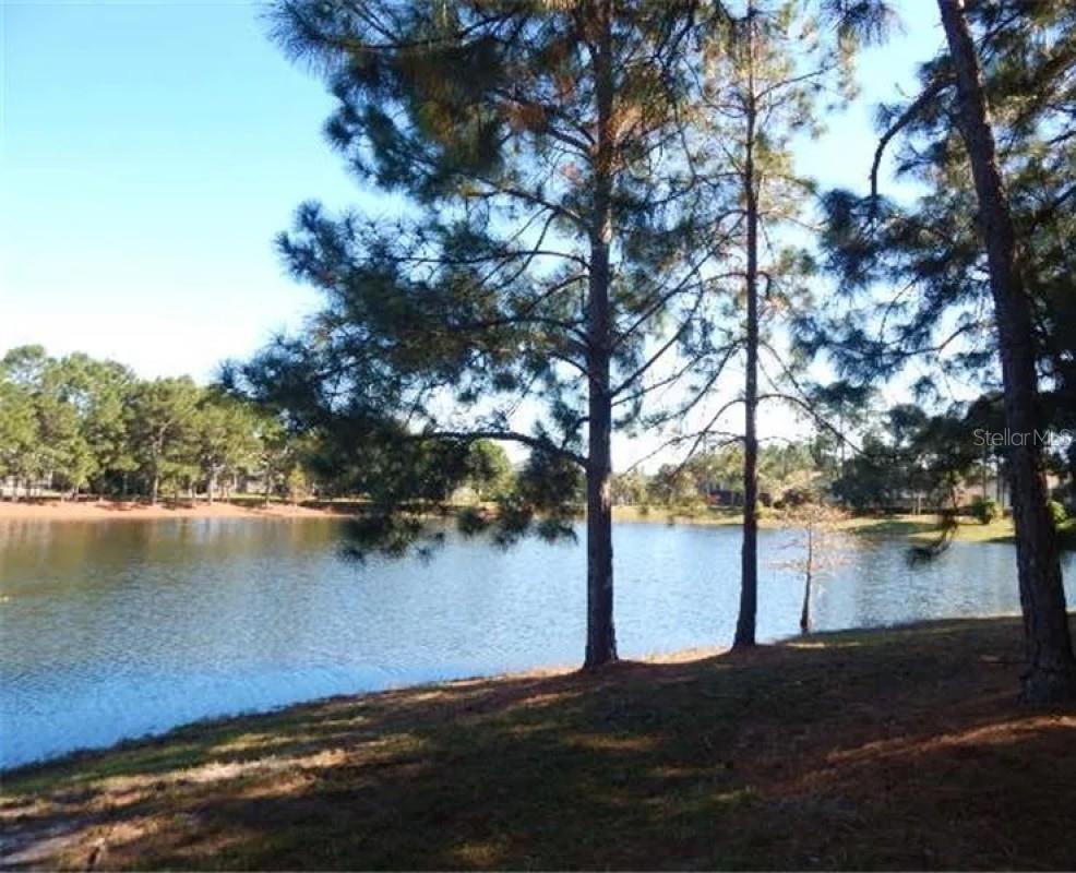 437 Randon Ter Property Photo 19