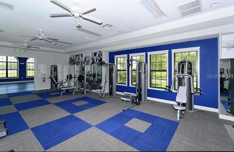 13012 Deep Blue Pl Property Photo 39