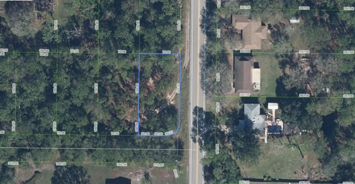 1702 Daffodil Ave Property Photo 1