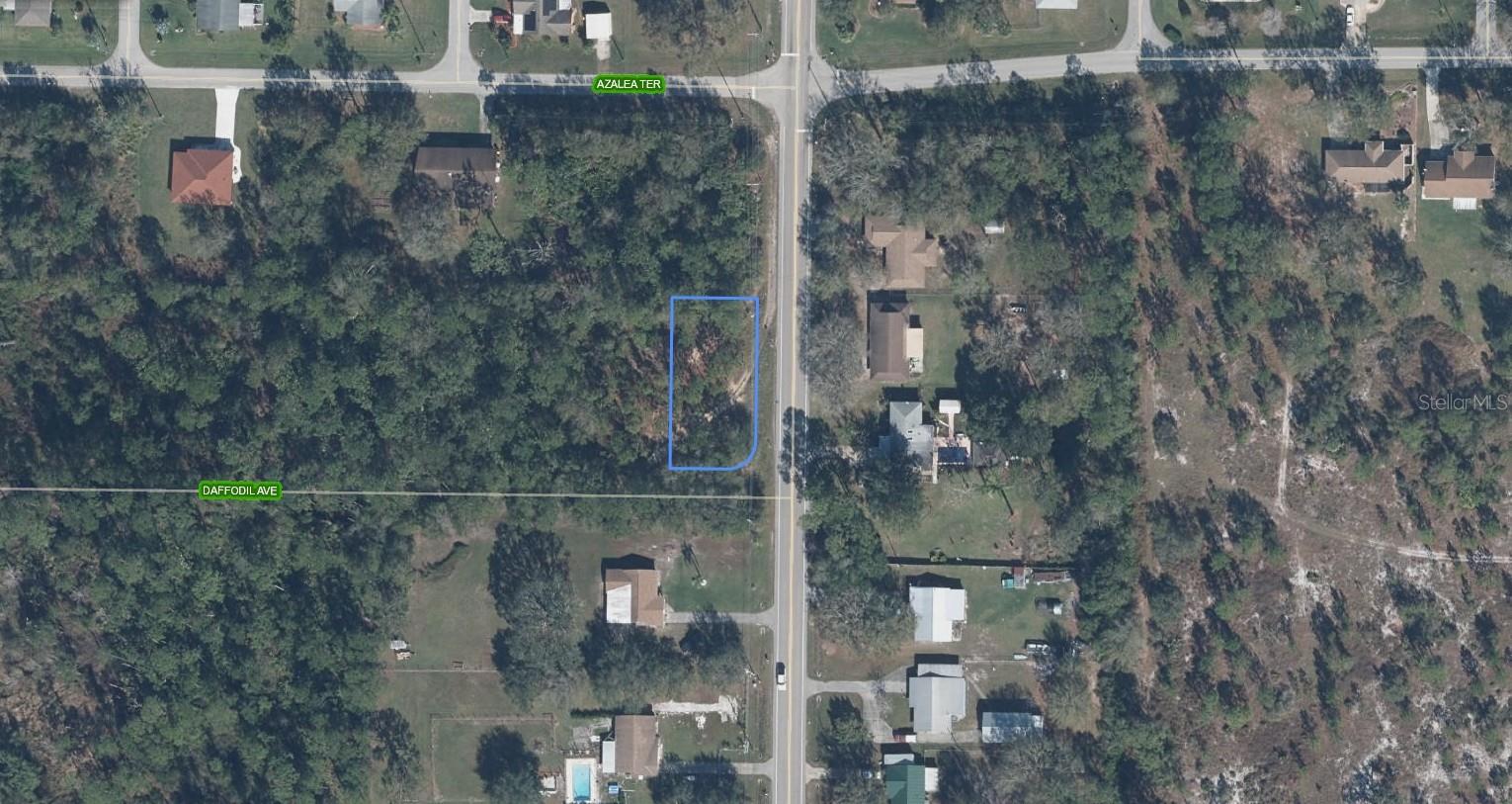1702 Daffodil Ave Property Photo 2