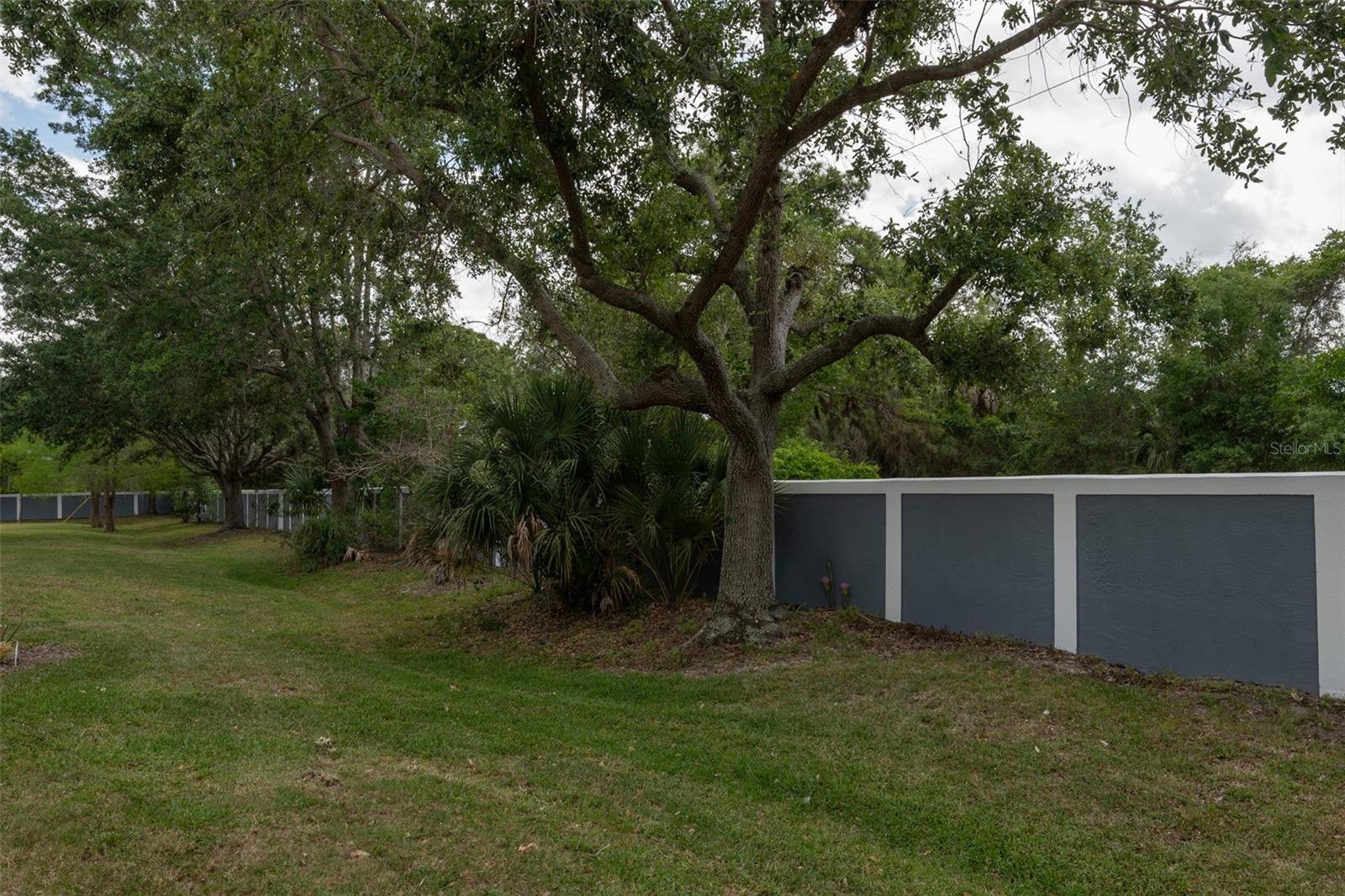 4726 Sabal Key Dr Property Photo 21