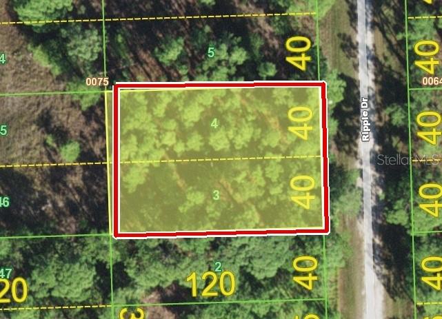 12353 RIPPLE DR Property Photo 1