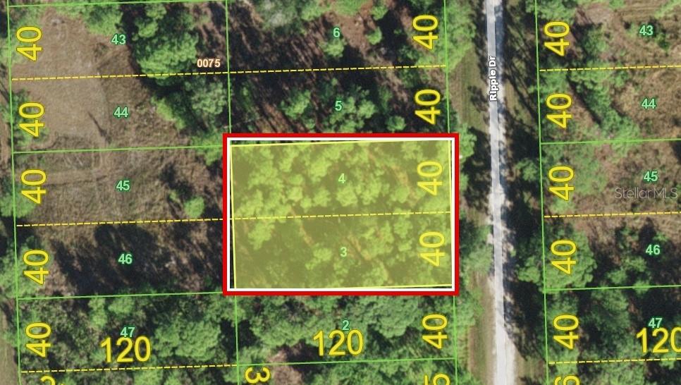 12353 Ripple Dr Property Photo 3