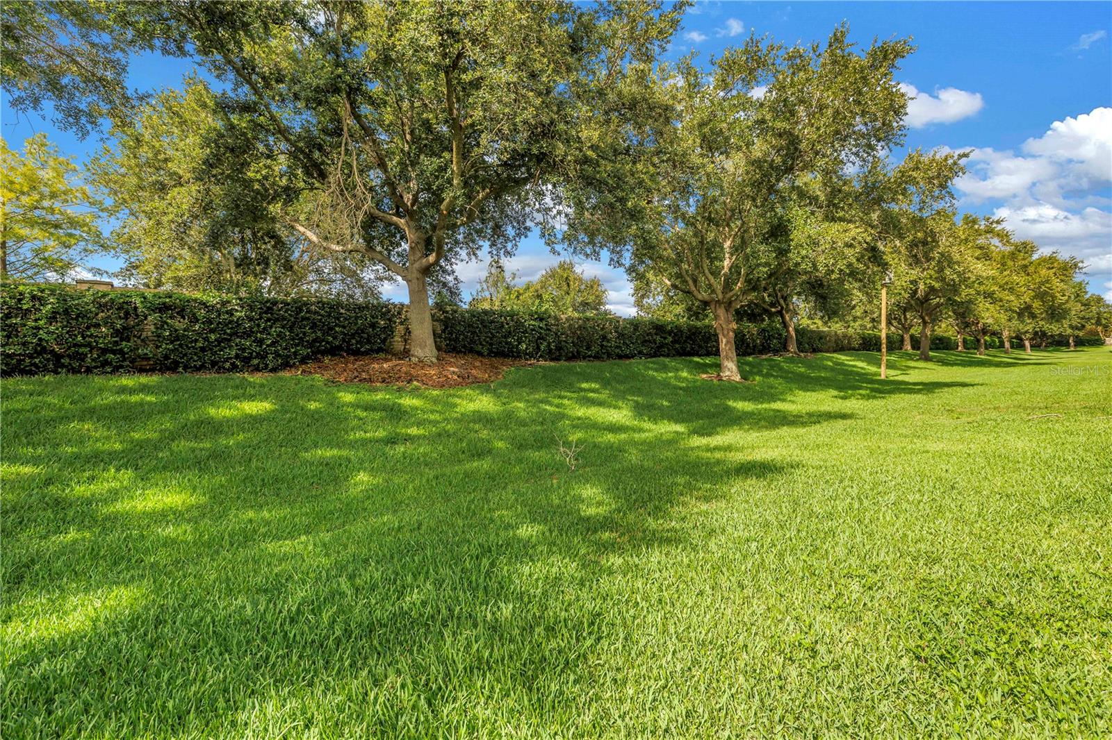 7204 83rd Dr E Property Photo 30