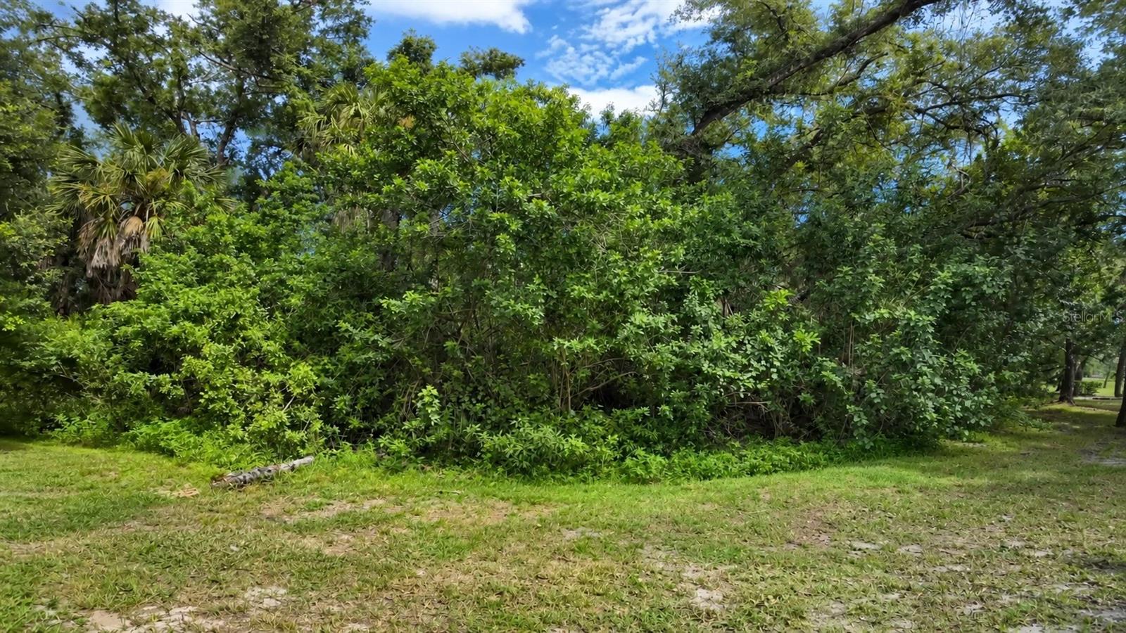 5429 Stoneybrook Ln #102 Property Photo 31