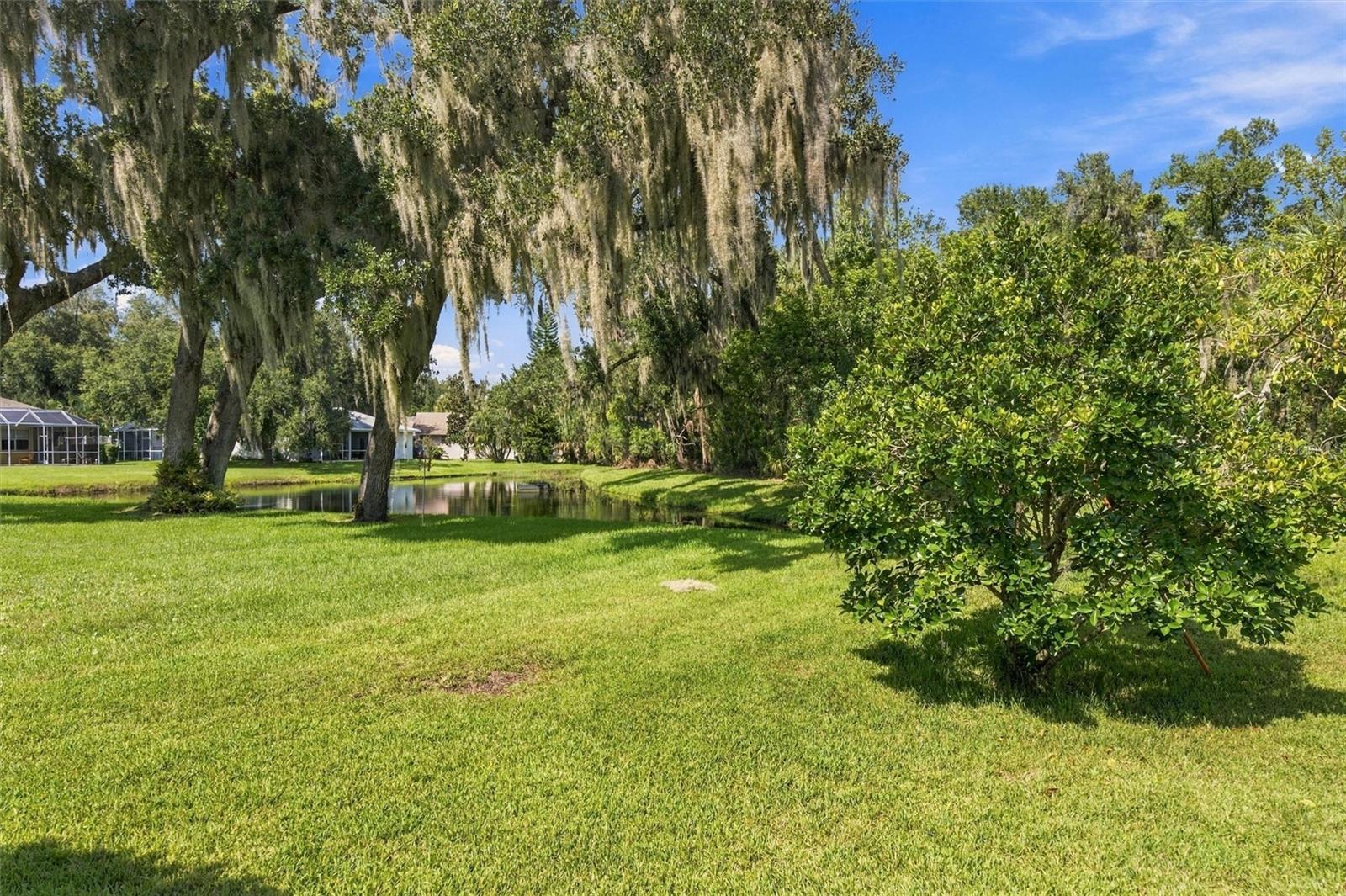 3310 River Woods Dr Property Photo 79