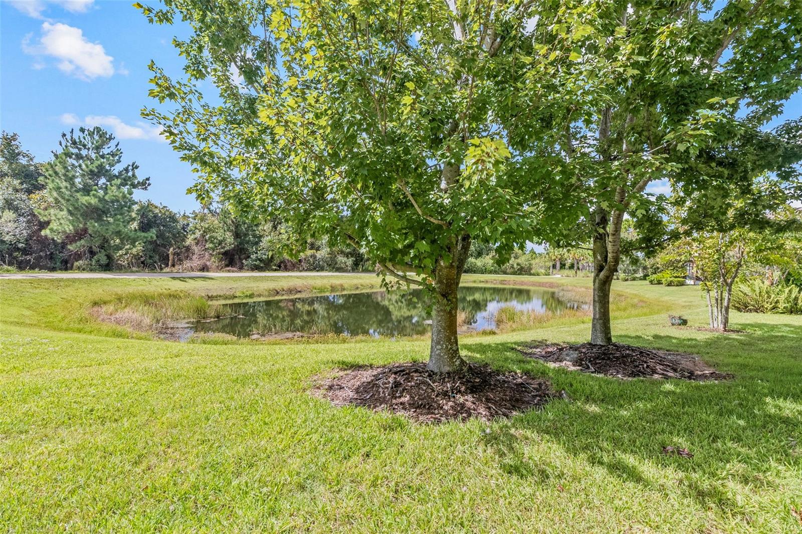 12161 Trailhead Dr Property Photo 45