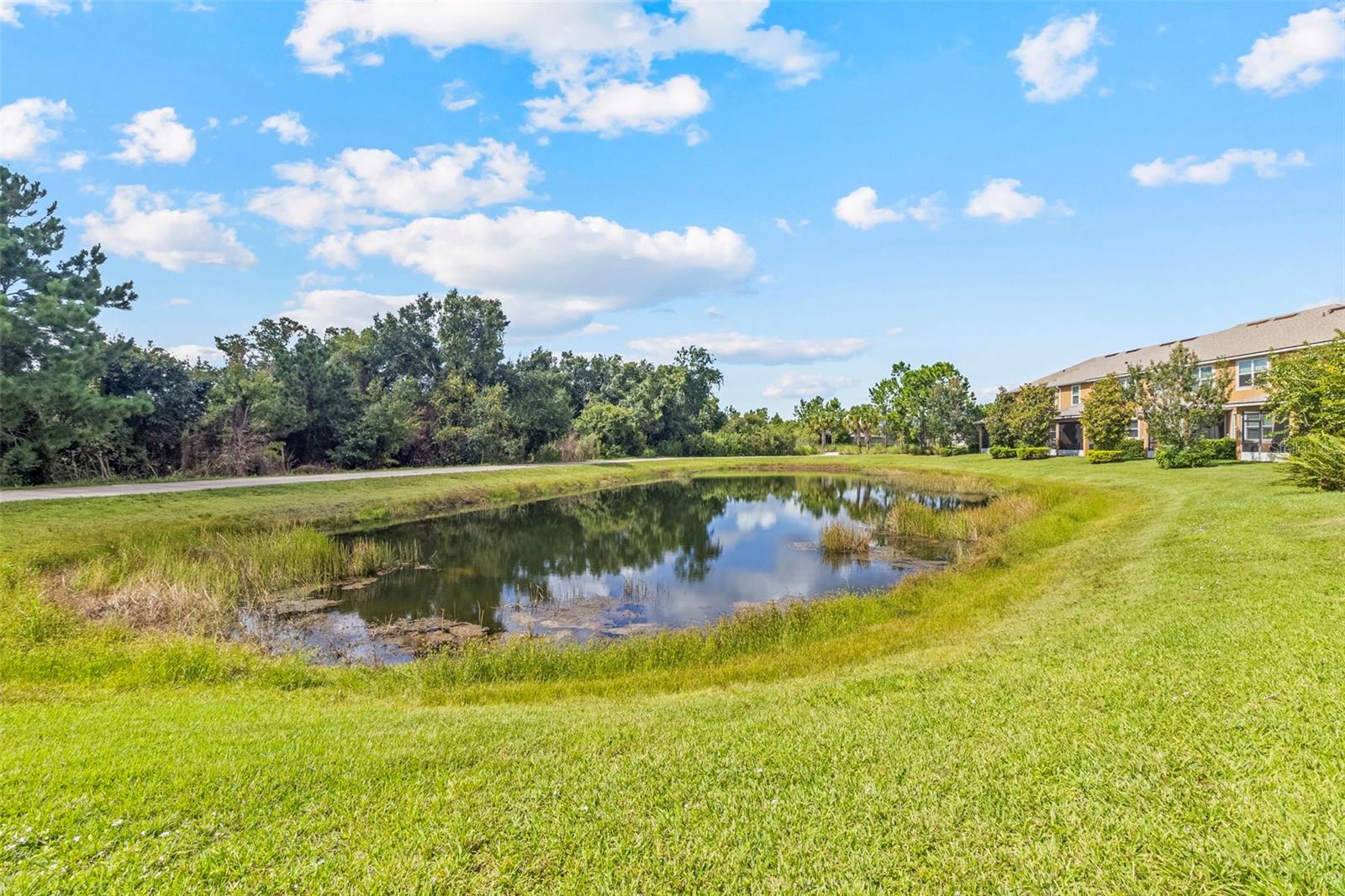 12161 Trailhead Dr Property Photo 47
