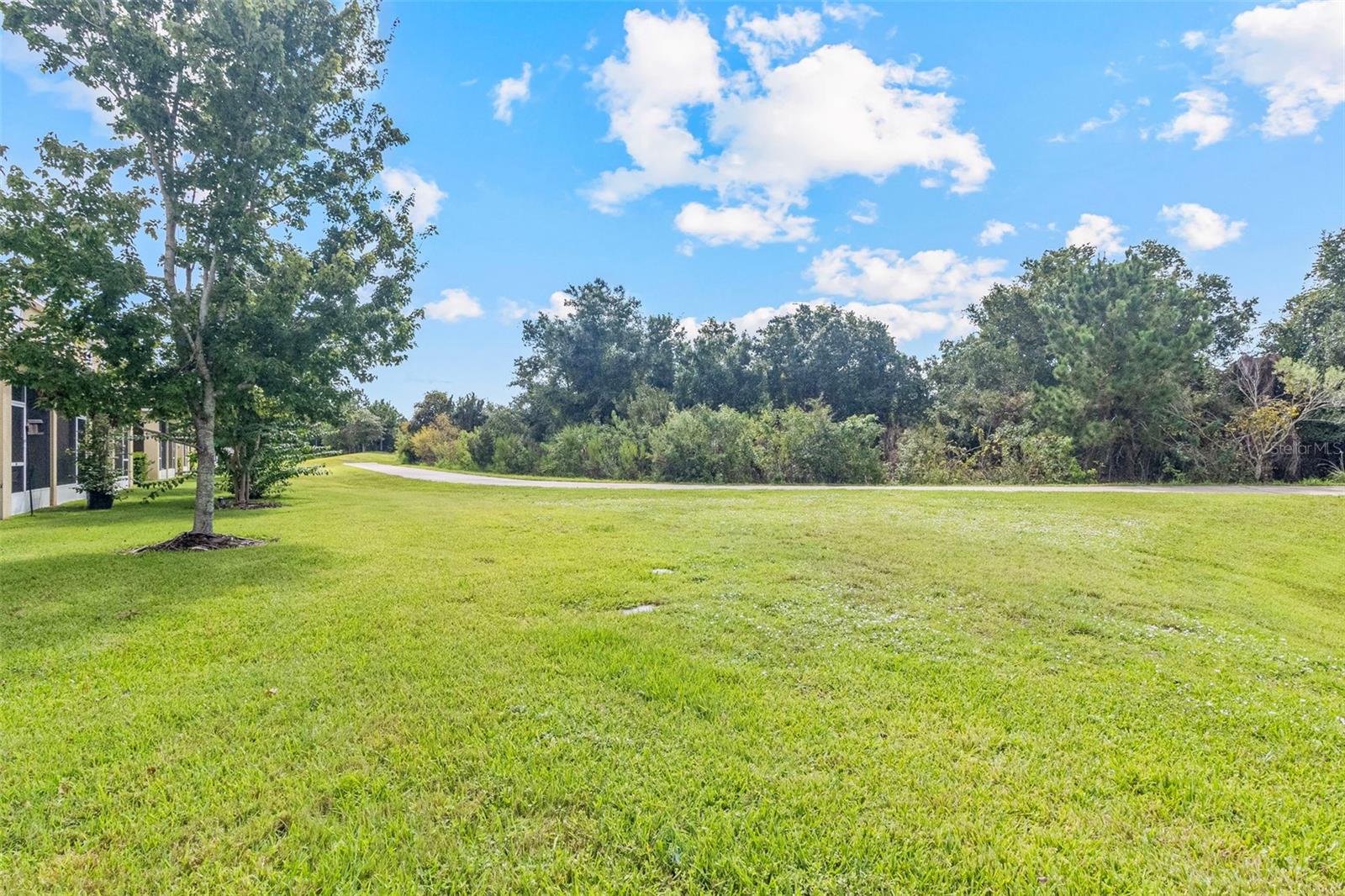 12161 Trailhead Dr Property Photo 48