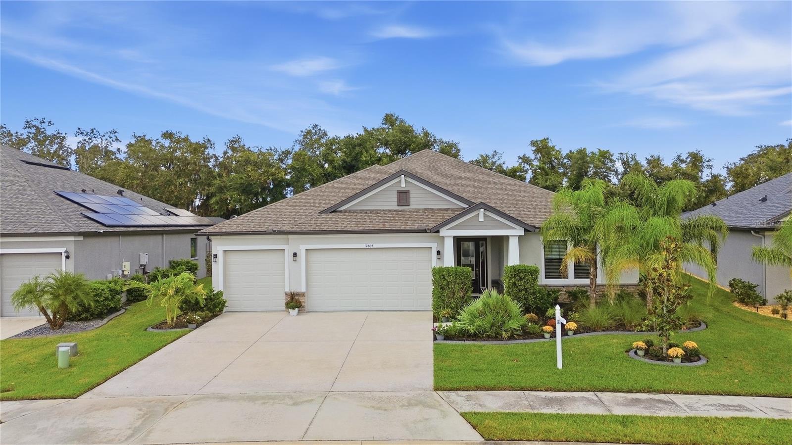 12807 Wheatgrass Court Property Photo 1