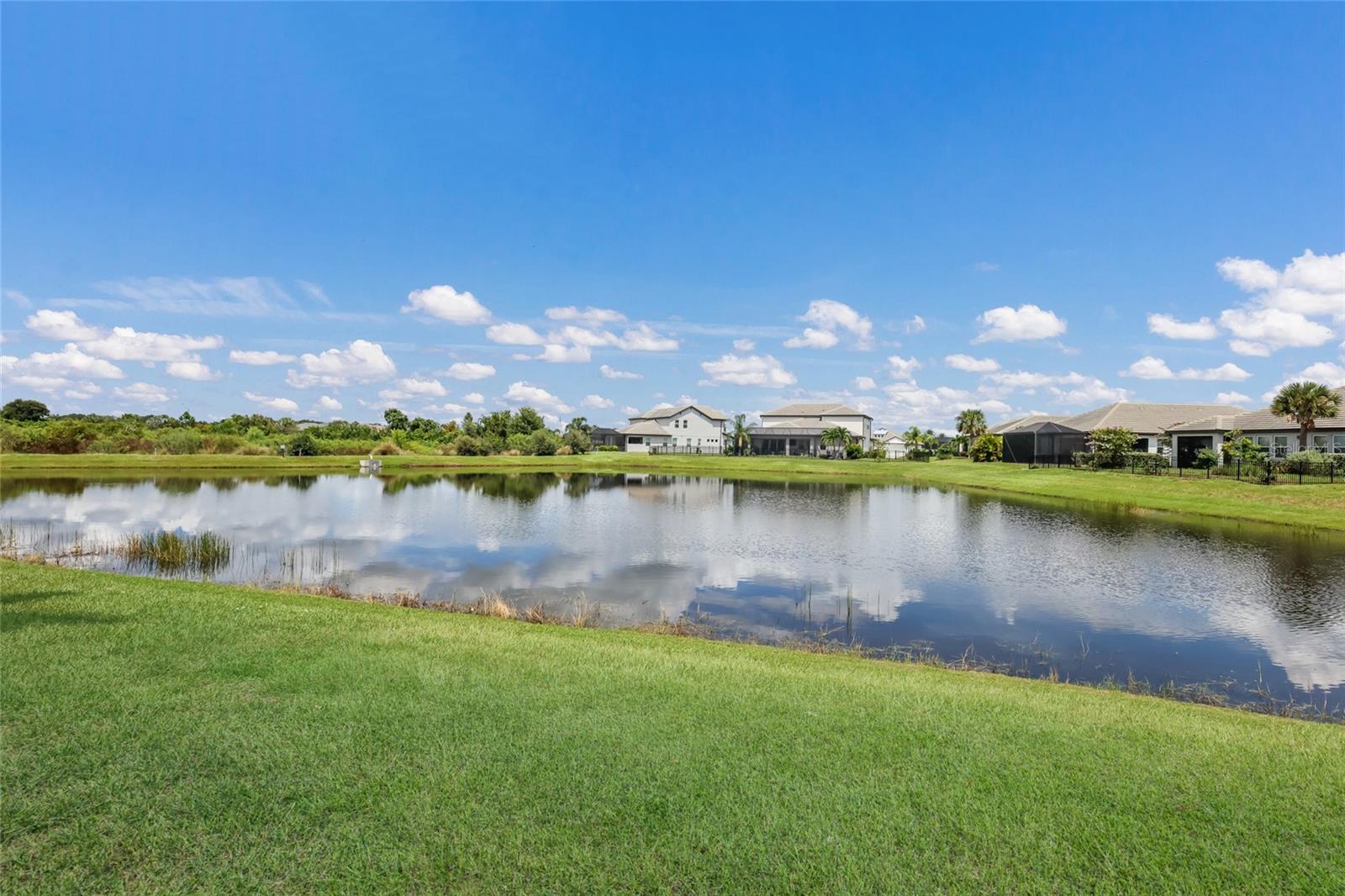 16925 Seraphic Trl Property Photo 42