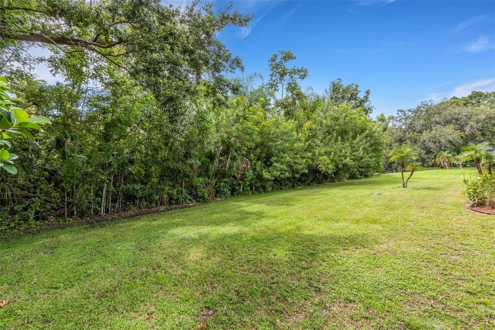 6104 Nicole Dr Property Photo 57