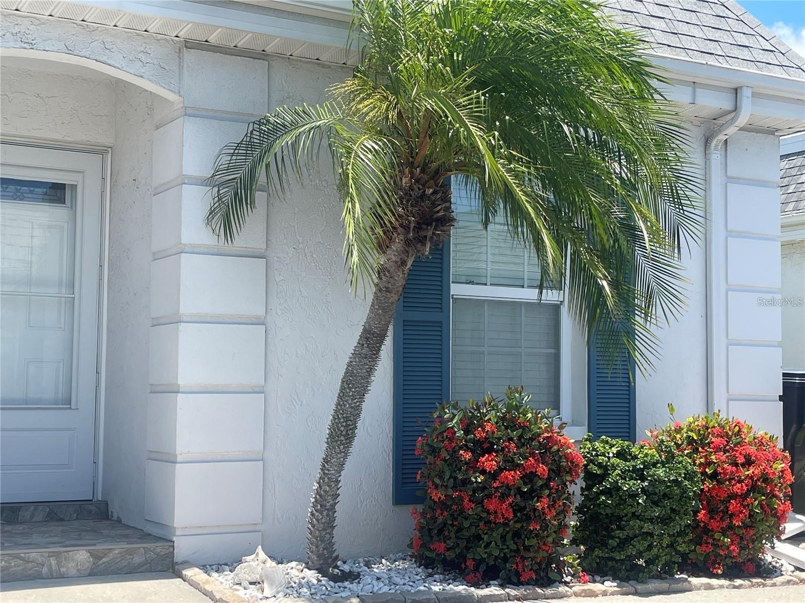 9819 Hernando Ct #29-a Property Photo 2