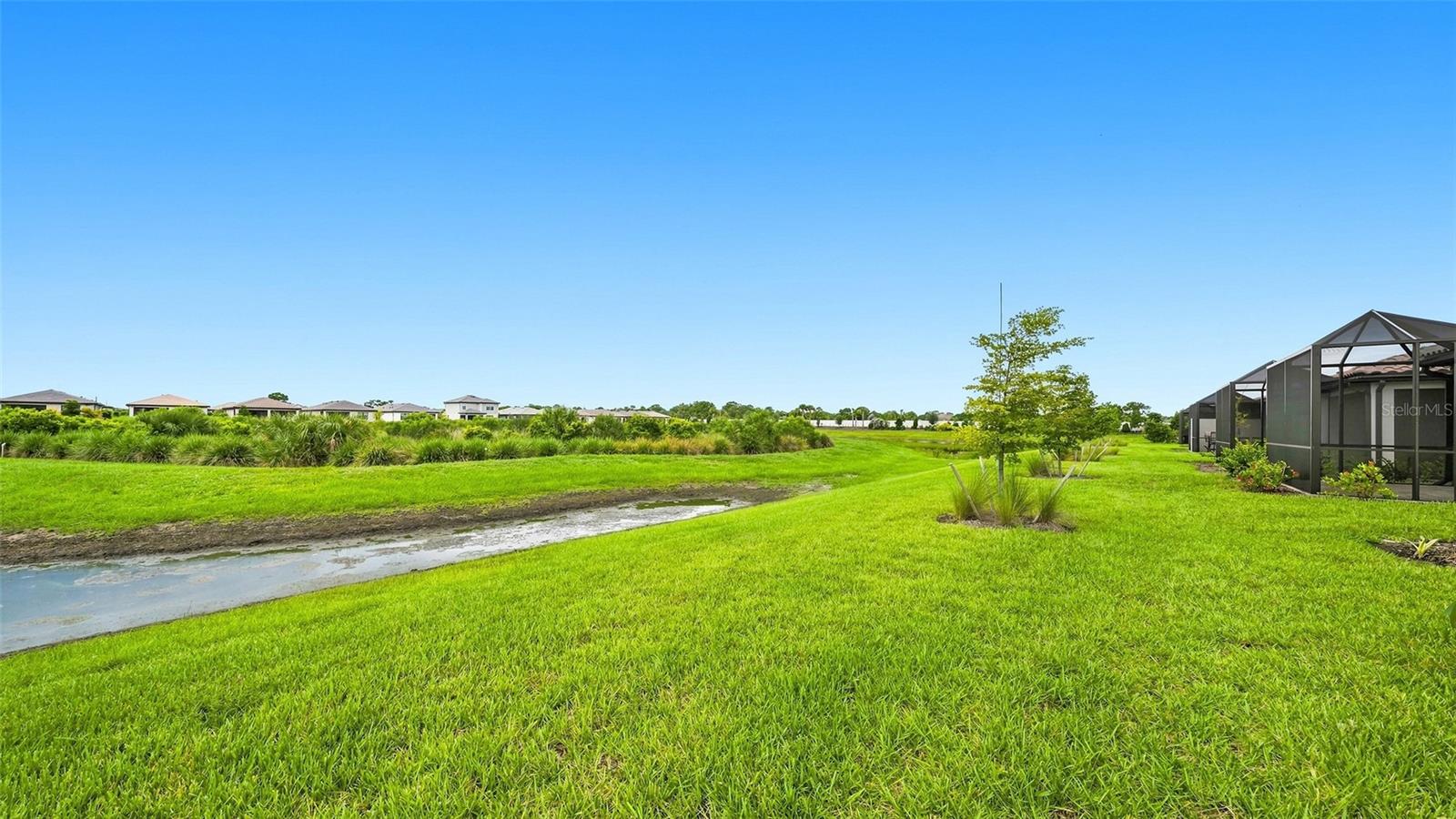 14229 Eagle Branch Dr Property Photo 34