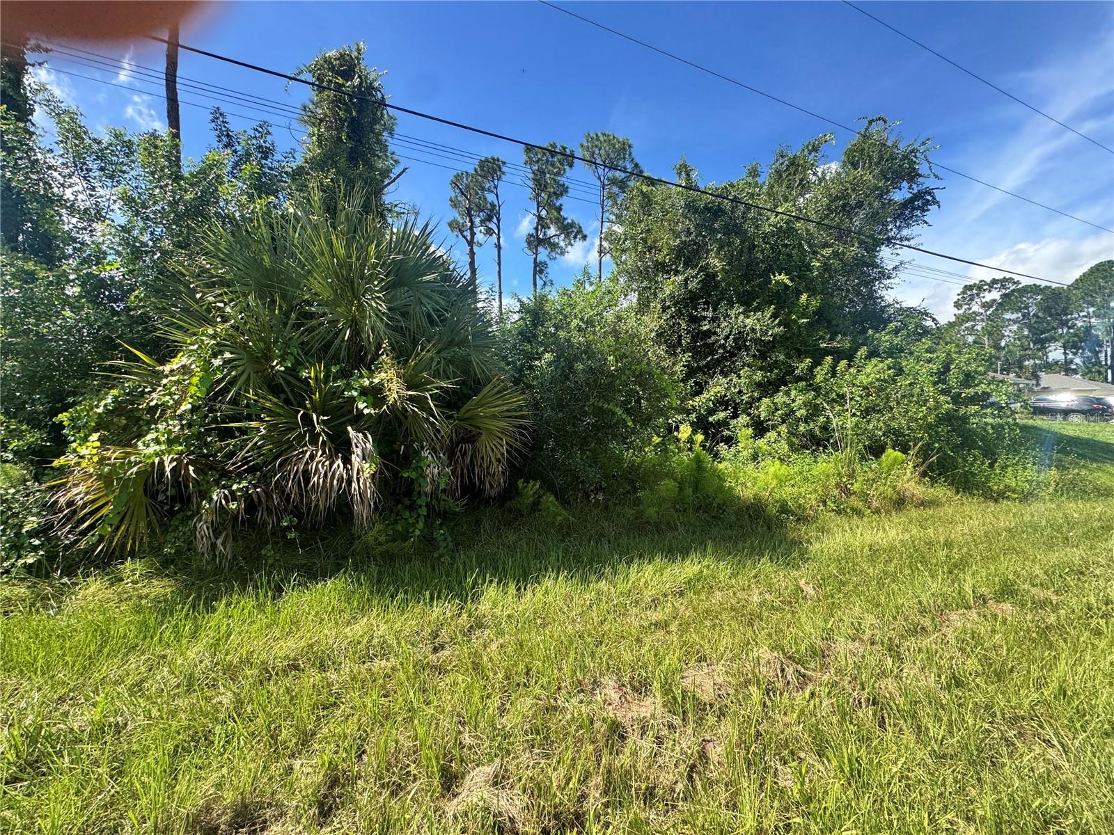 Amnesty Dr Property Photo 4