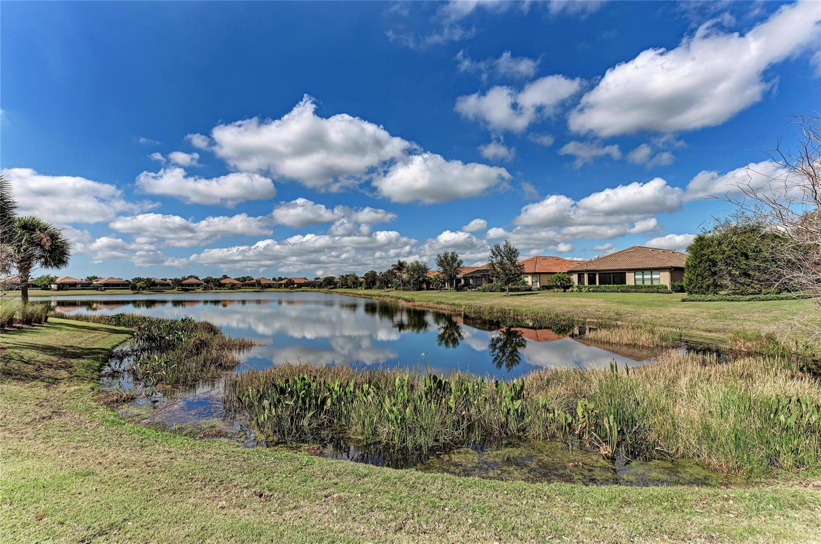 13815 Messina Loop #101 Property Photo 81