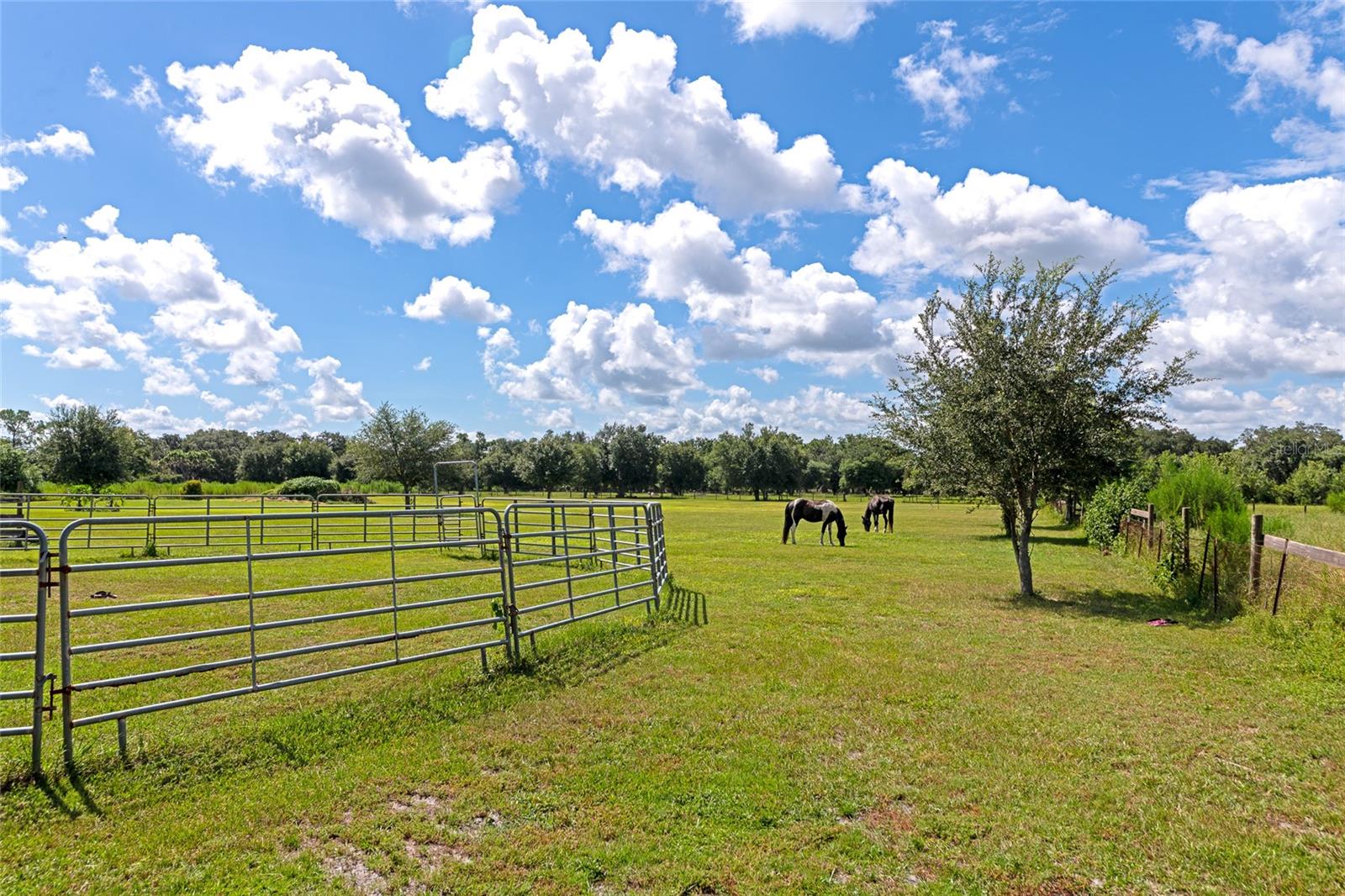 710 Myakka Rd Property Photo 87