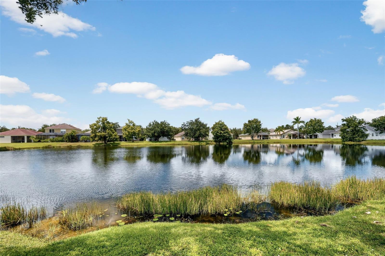6218 Blackdrum Ct Property Photo 49