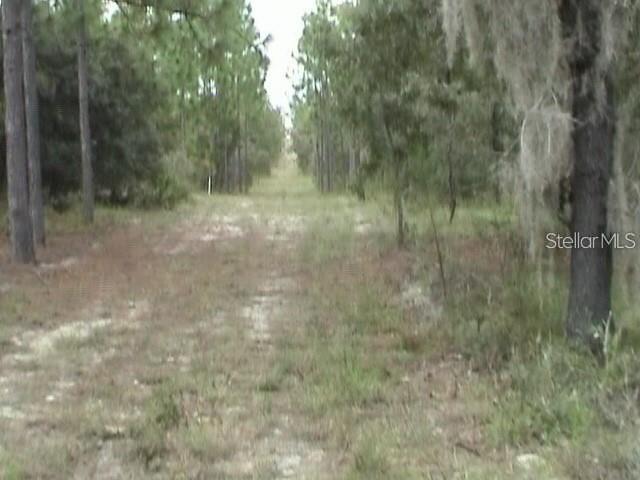 6000 W Cedar Hill St Property Photo 12