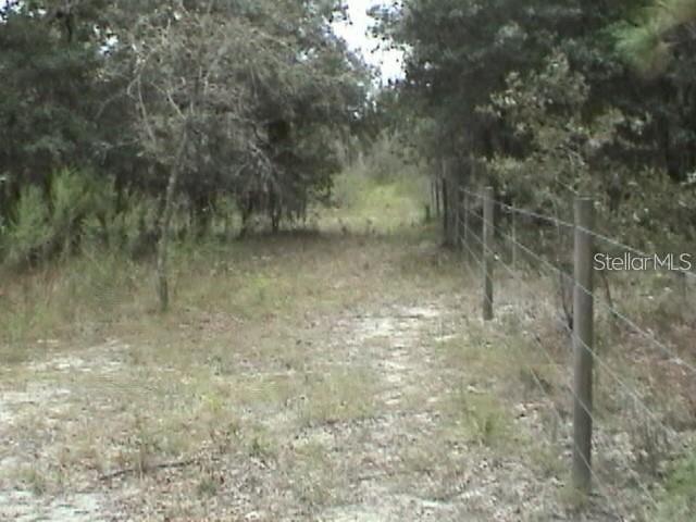 6000 W Cedar Hill St Property Photo 13
