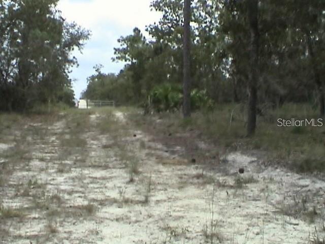 6000 W Cedar Hill St Property Photo 14