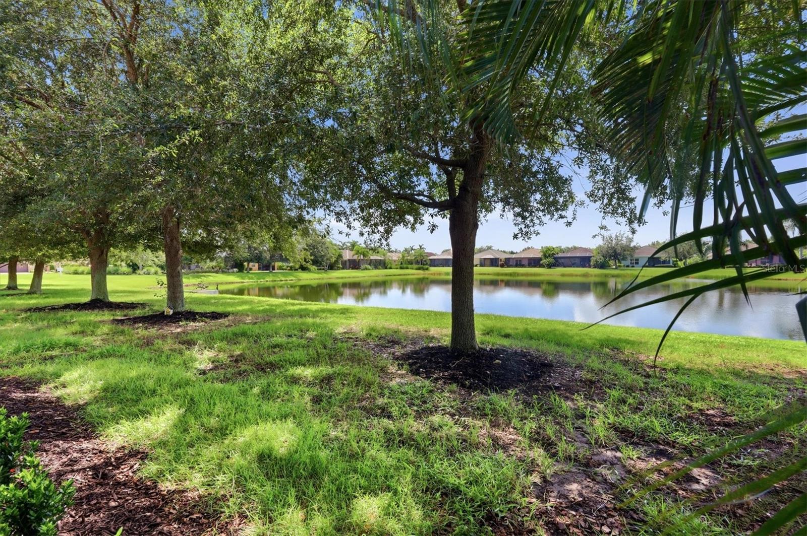 12624 Crystal Clear Pl Property Photo 43