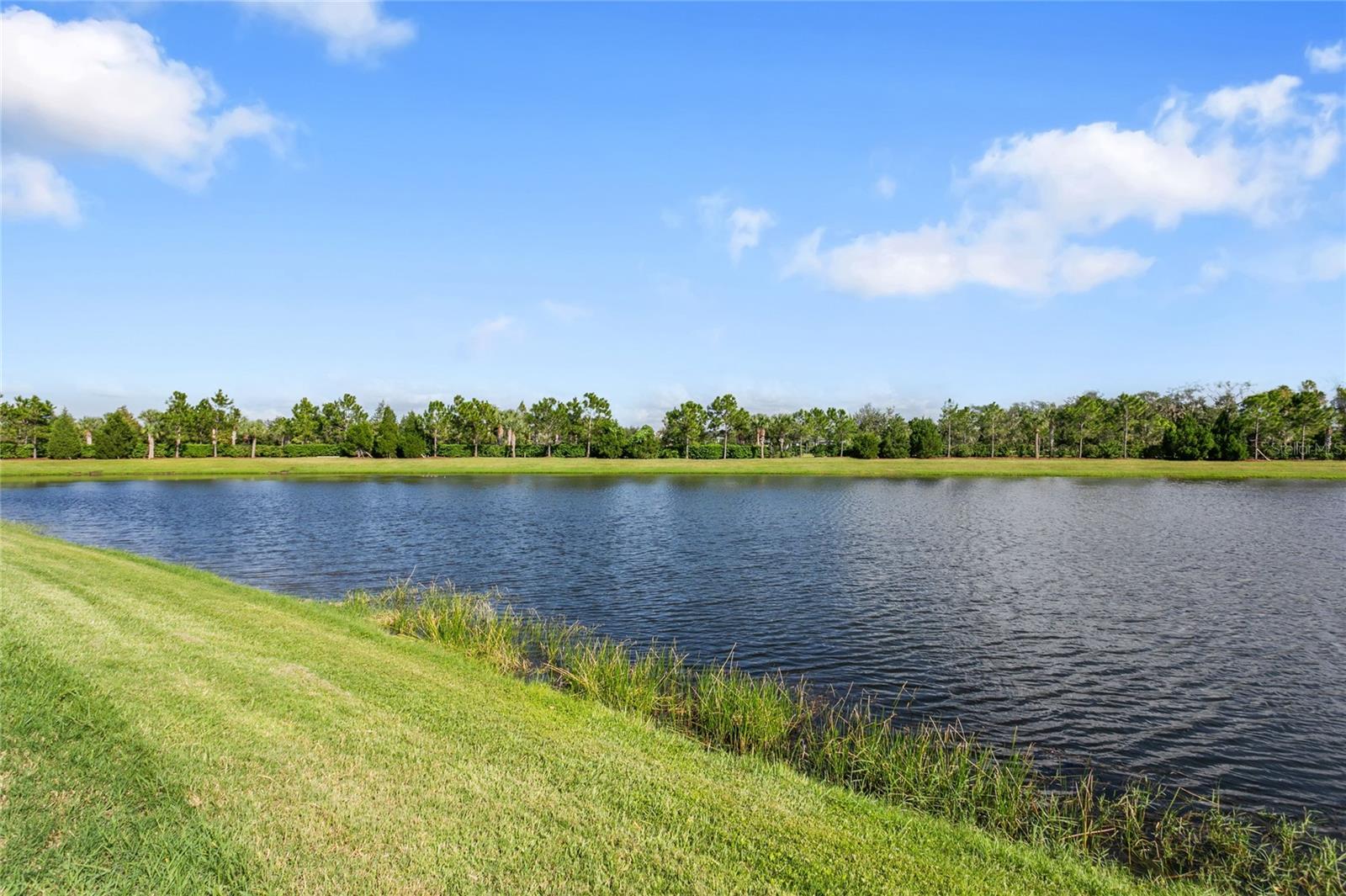 10625 Falling Leaf Ct Property Photo 35