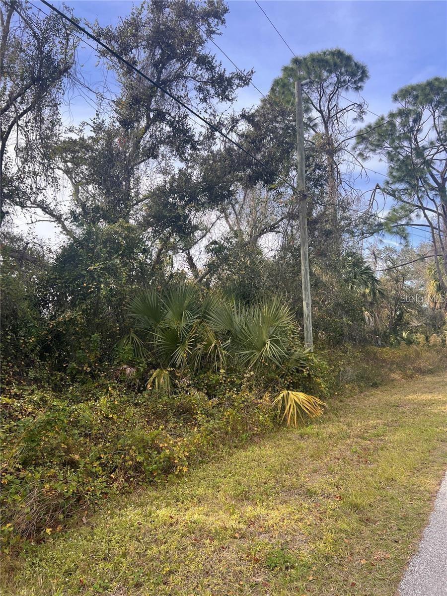 Firebrand Rd Property Photo