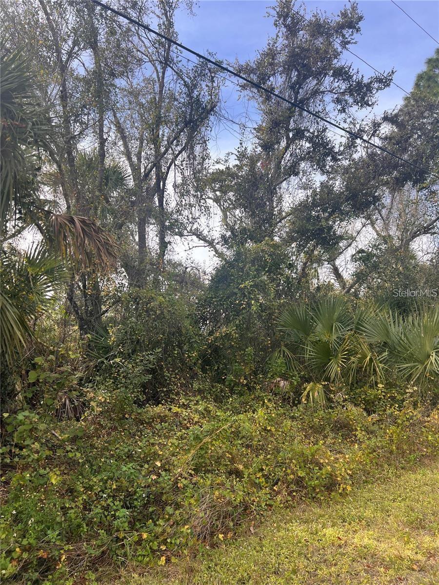 Firebrand Rd Property Photo 2