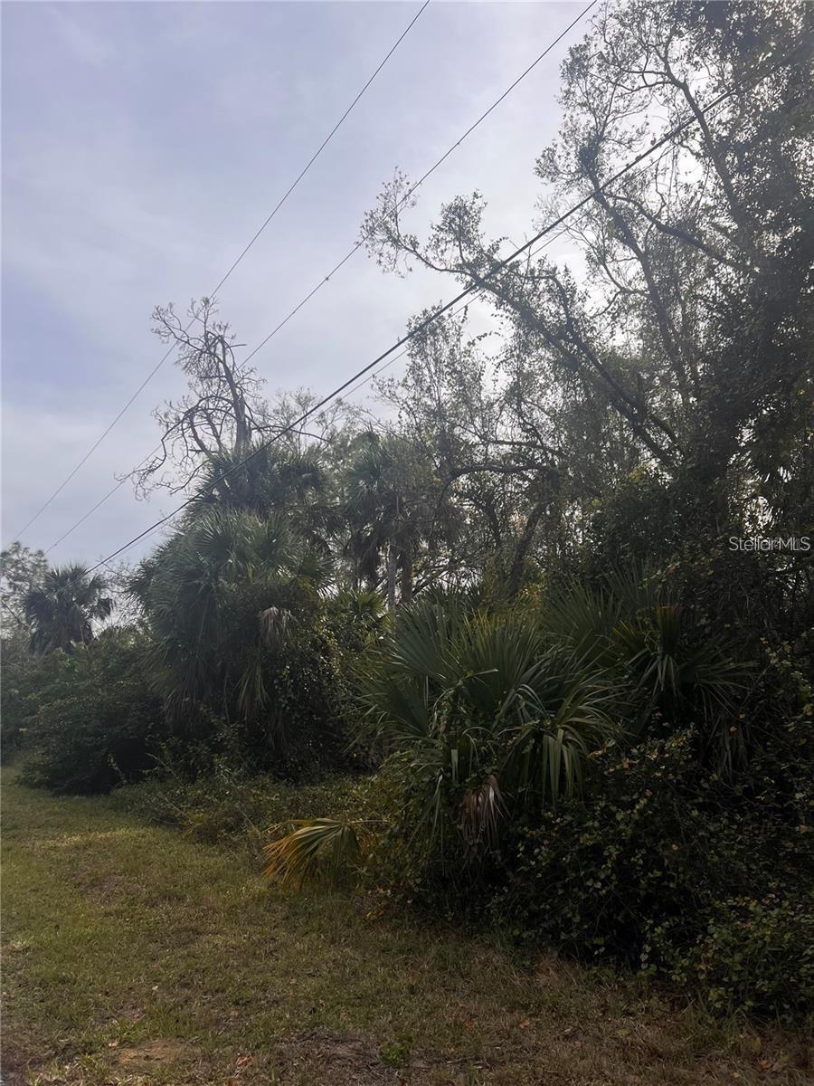 Firebrand Rd Property Photo 3