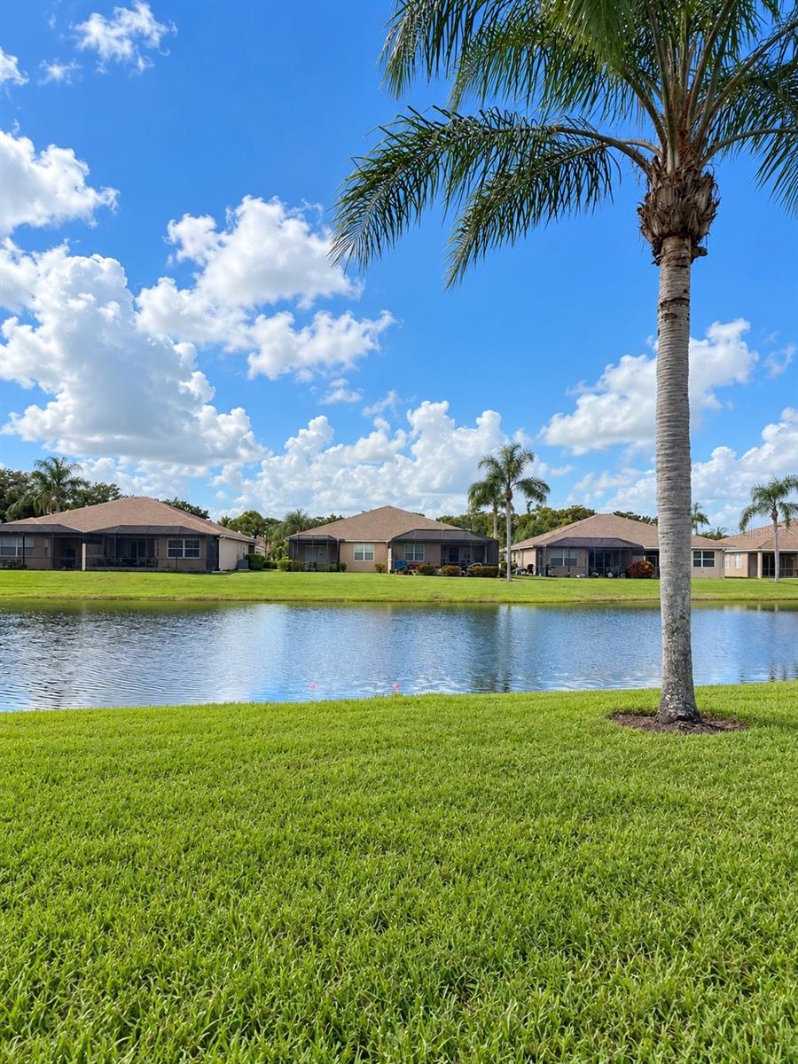 8318 Summer Greens Ter Property Photo 11