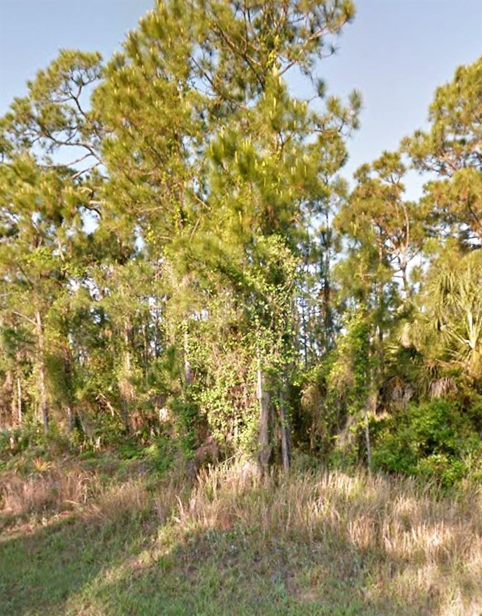 Old Wine Rd Property Photo 1