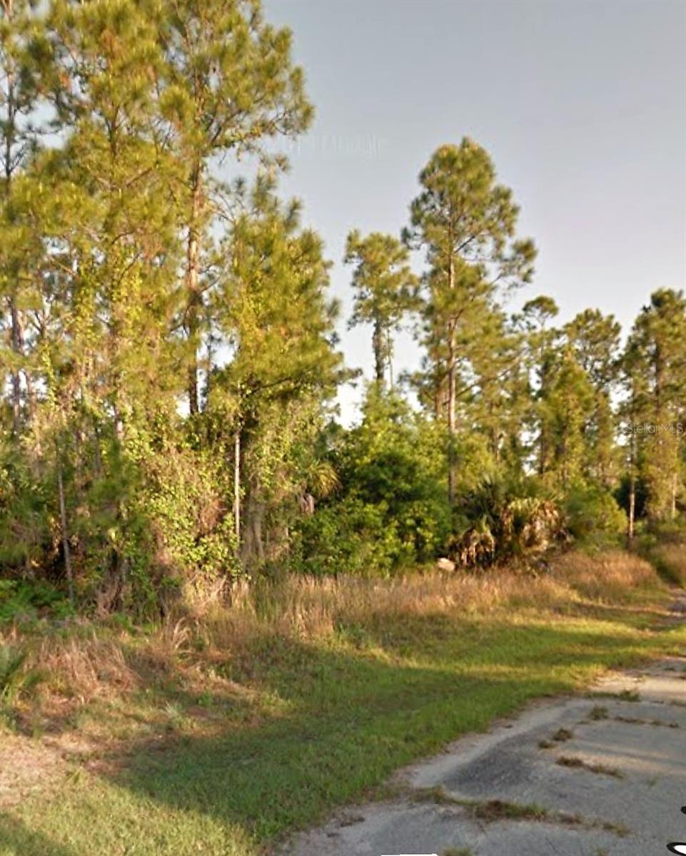 Old Wine Rd Property Photo 2