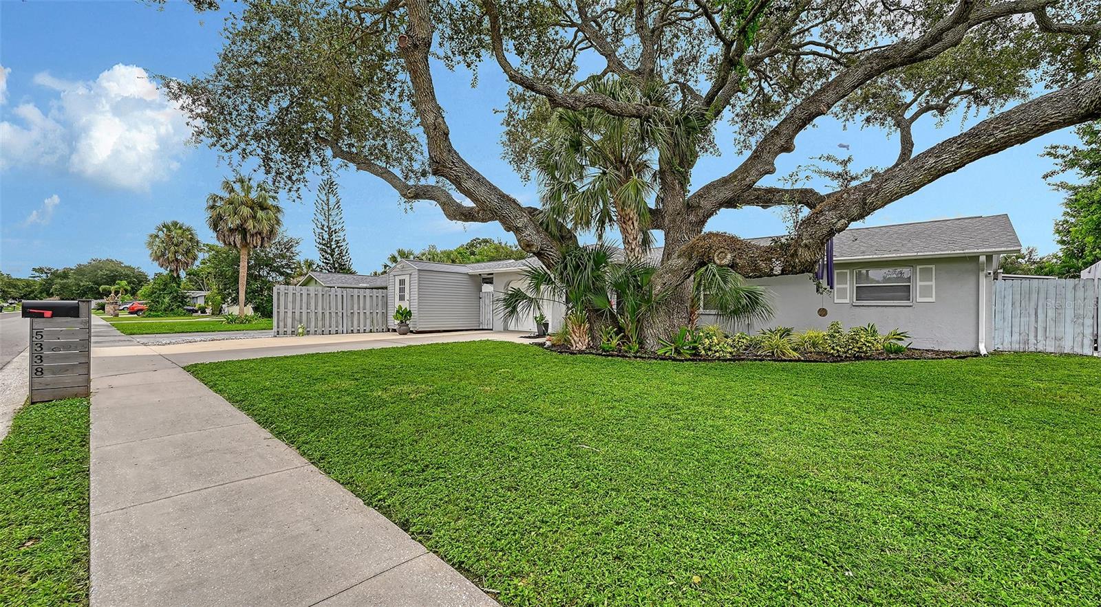 5338 Foxwood Dr Property Photo 3