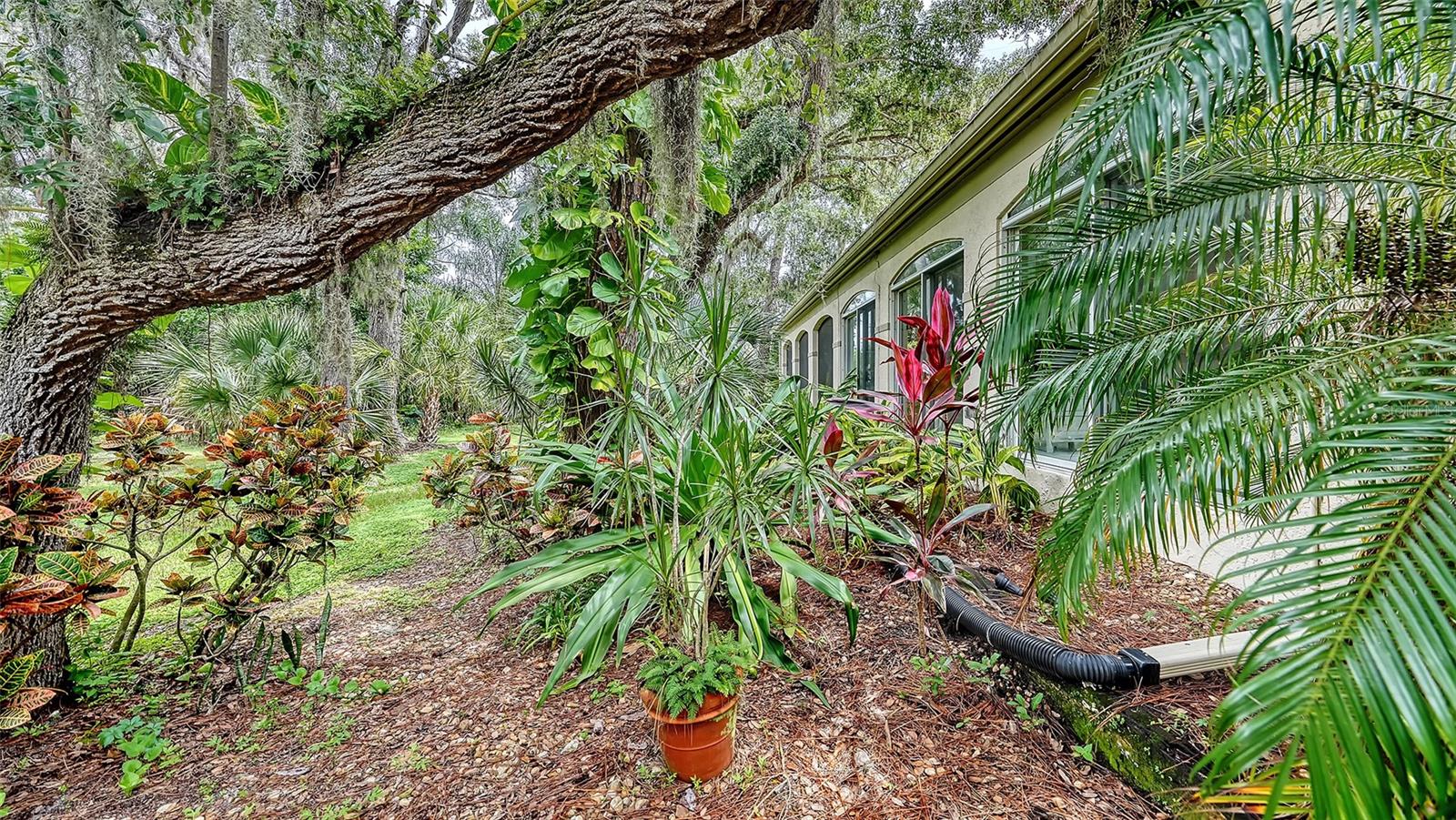 3477 Hadfield Greene #2 Property Photo 14