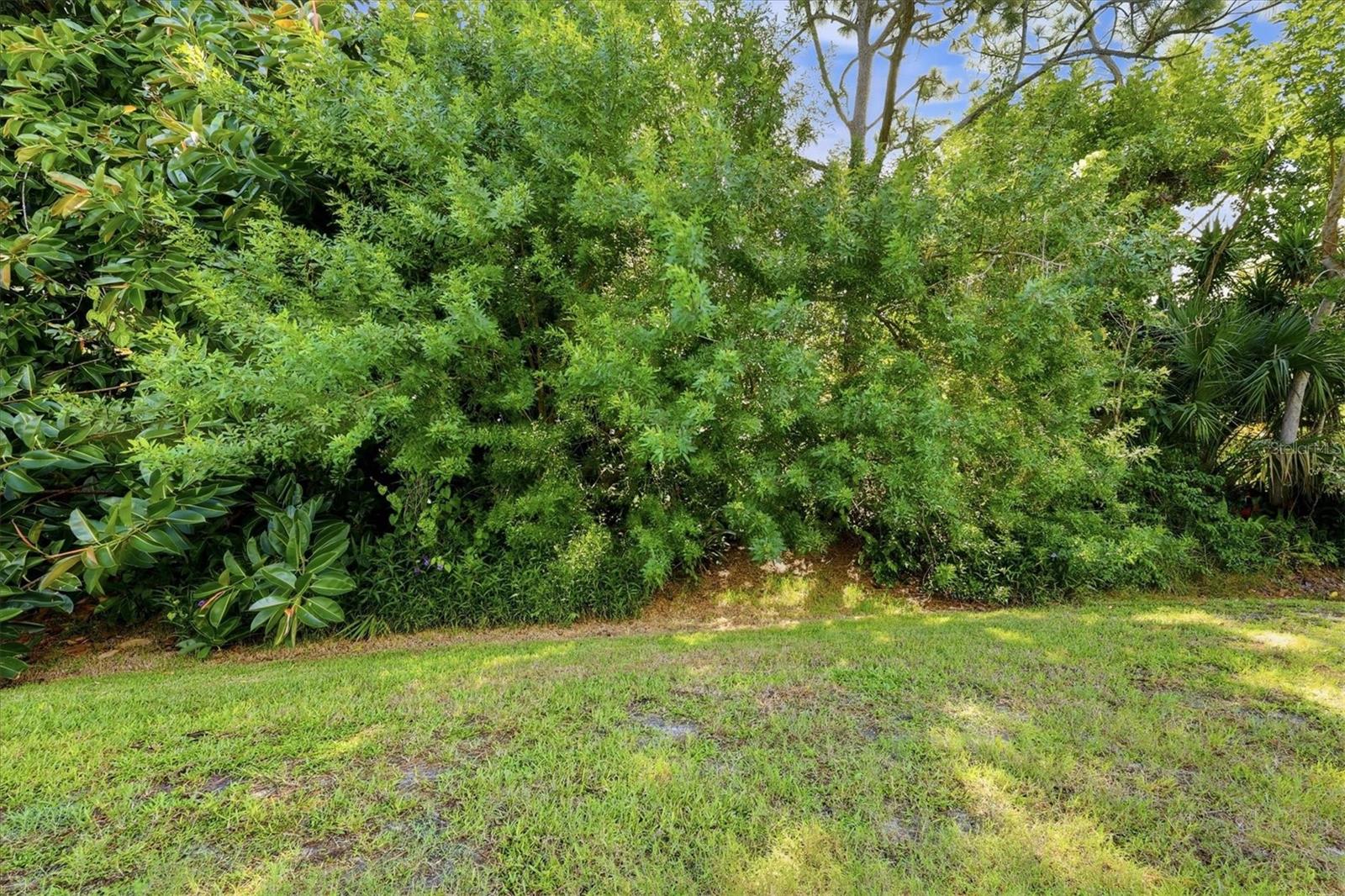 8857 Havenridge Dr Property Photo 34