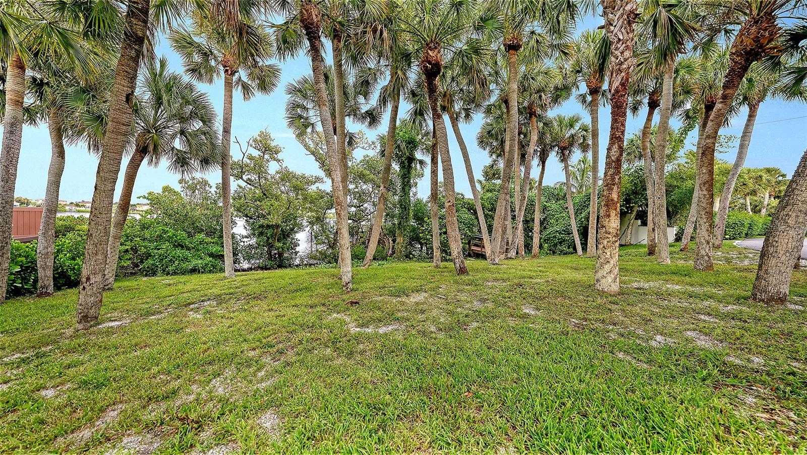 2417 Casey Key Rd Property Photo 15
