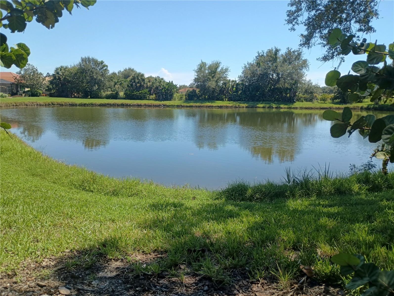 1328 Thornapple Dr Property Photo 42