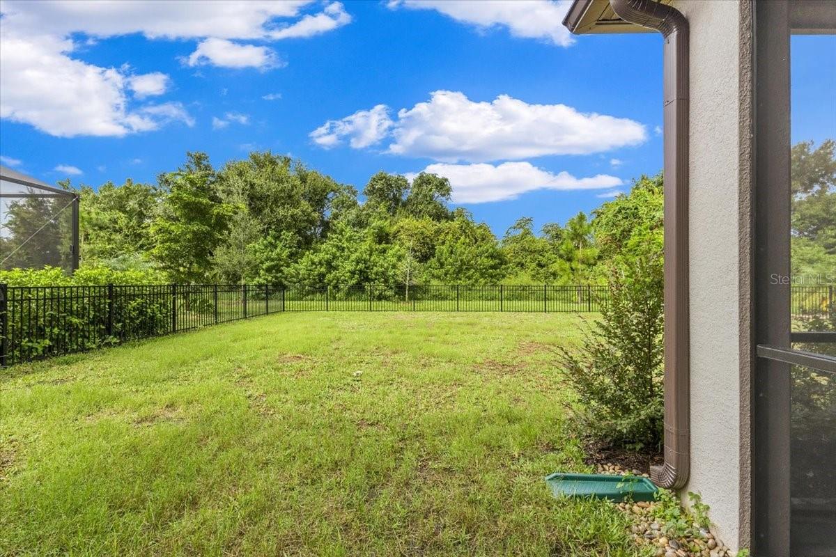 5026 Saratoga Springs Run Property Photo 86