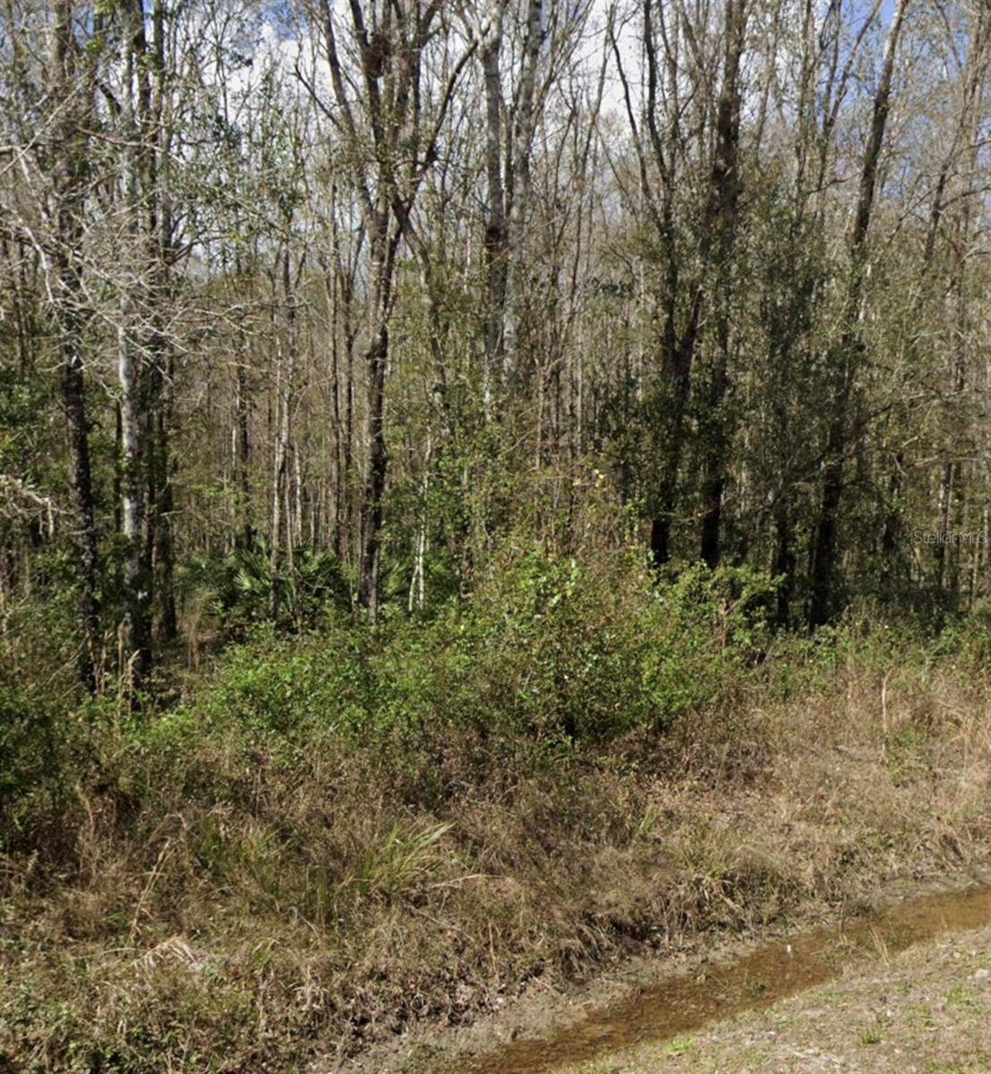 10160 Weatherby Ave Property Photo 3