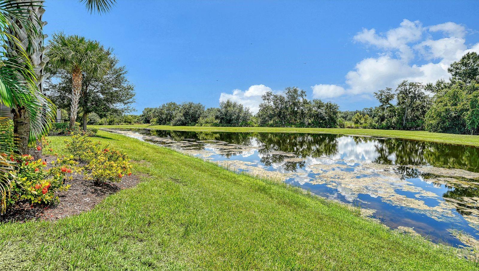 7997 Grande Shores Dr Property Photo 61