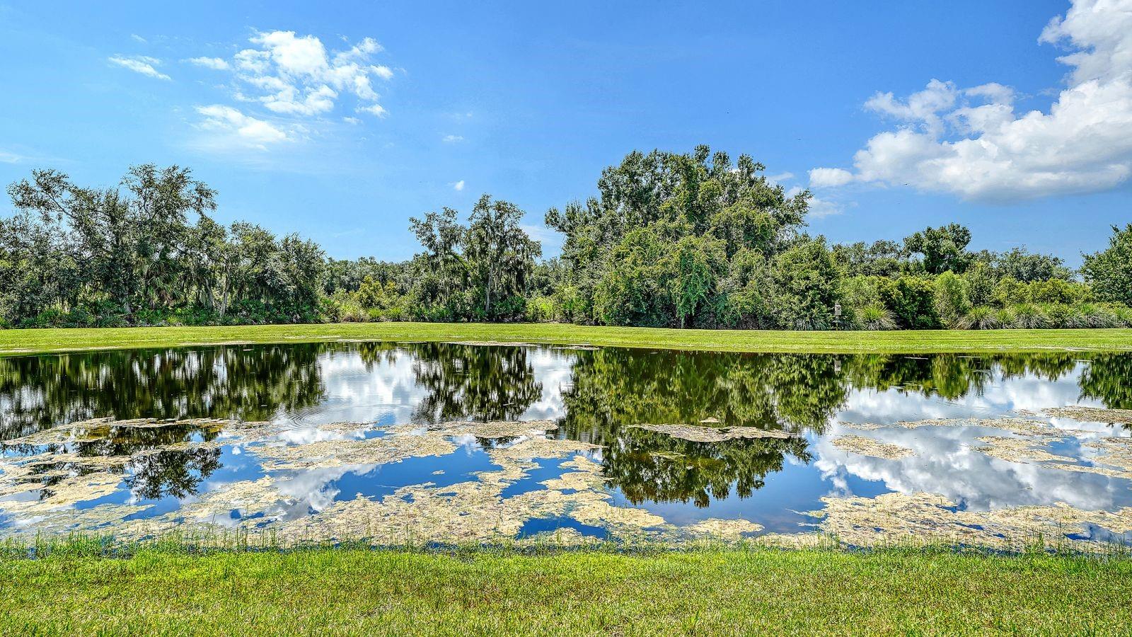 7997 Grande Shores Dr Property Photo 63