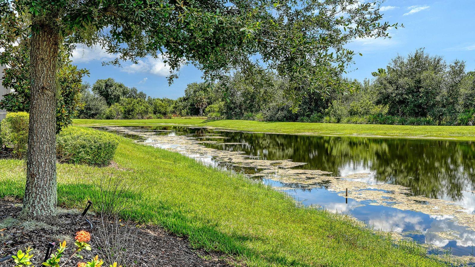 7997 Grande Shores Dr Property Photo 64