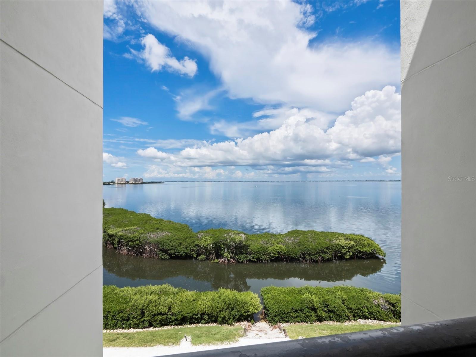 2020 Harbourside Dr #442 Property Photo 8