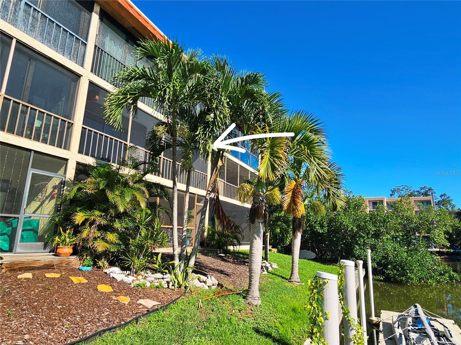 1650 PINE TREE LN #204 Property Photo 1