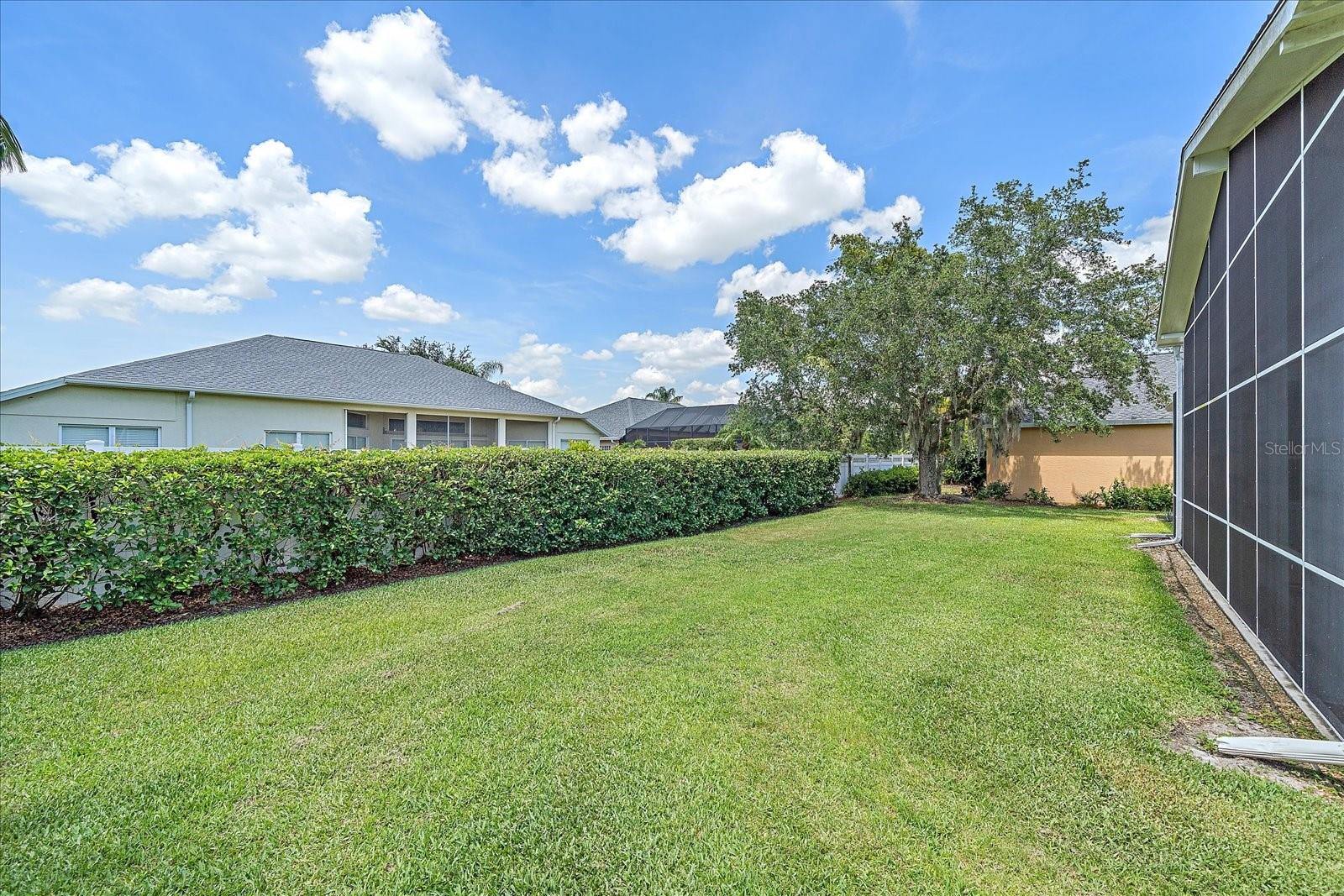 8015 Spring Marsh Dr Property Photo 13
