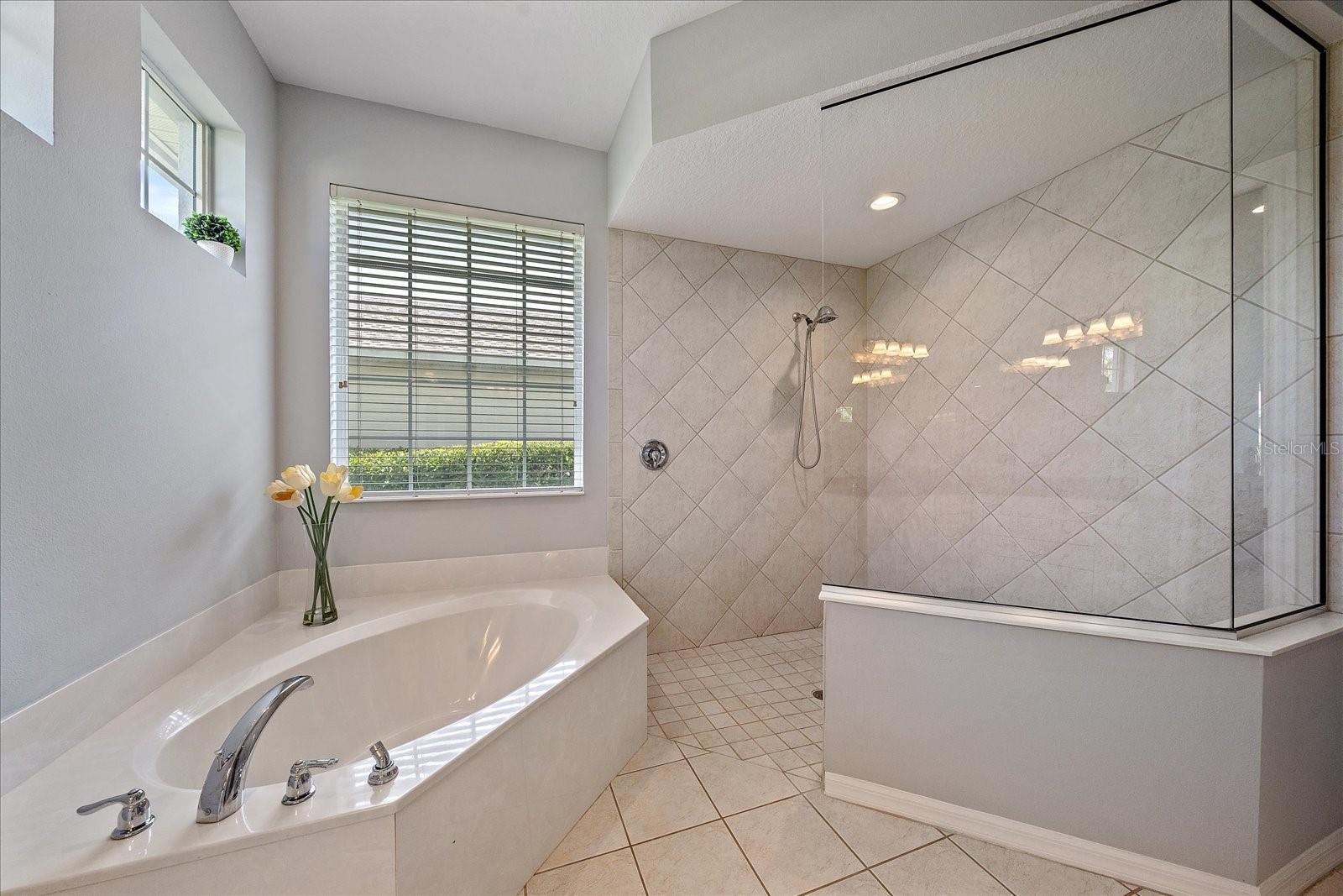 8015 Spring Marsh Dr Property Photo 45